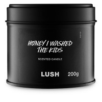 هوني آي واشد ذا كيدز