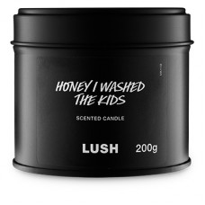 هوني آي واشد ذا كيدز