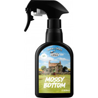 Mossy Bottom
