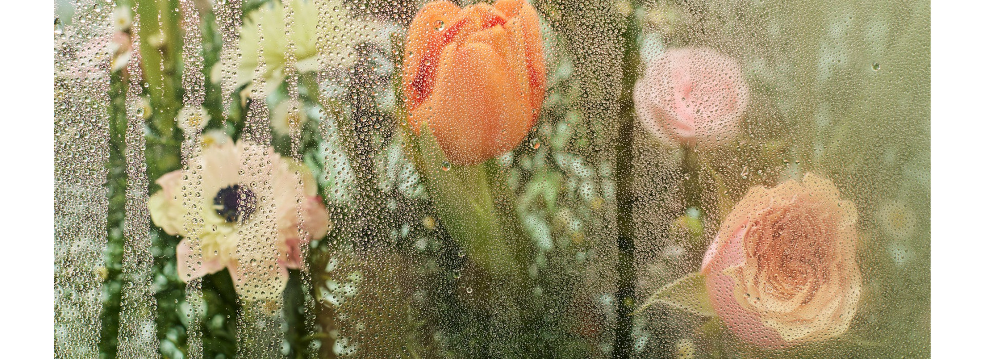 تشكيلة عيد الام